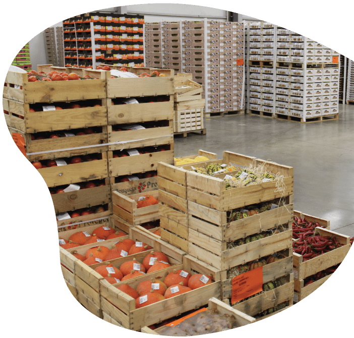 Contrôle qualité des fruits et légumes en entrepôt